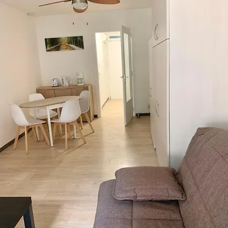 Appartement En Centre-ville Proche De La *